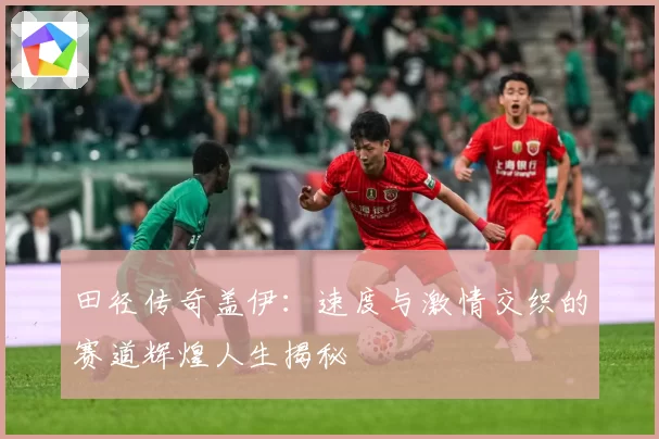 田径传奇盖伊：速度与激情交织的赛道辉煌人生揭秘